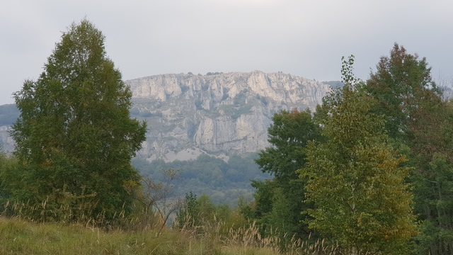 BELJANICA - kružna staza